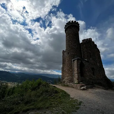 - Wypoczynek Sosnówka