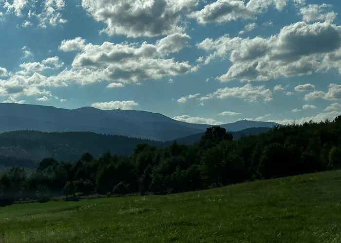 아파트 - Wypoczynek Sosnówka