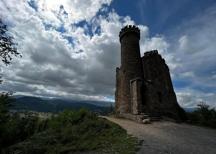 - Wypoczynek Sosnówka